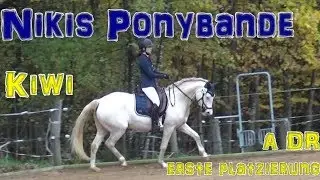 Nikis-Ponybande: Kiwis erste Dressur-Platzierung - Reiterfest Hohenburg