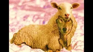 How To Discern Truth From Falsehood (Bible Study - Tuesday, July 26th, 2022)