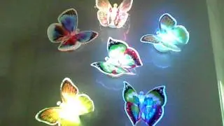 Optical Fiber Butterfly Light's Up