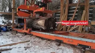 Hatte ich jetzt bei diesem Walnuss-Stamm mega Gl&uuml;ck oder super viel Pech?
