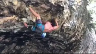 Hulk 8b+