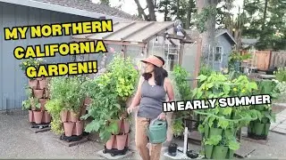 Come Tour My California Summer Garden! 🏡 | GreenStalks, Vego Elevated Beds & More