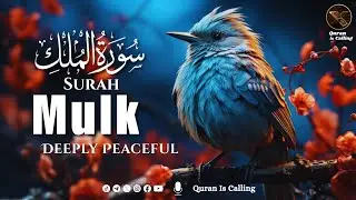 Surah Mulk (Al-Mulk) سورة الملك | Deep Sleep Healing Heart Touching Quran Recitation