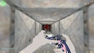 Counter strike 1.6 zombie mode 
