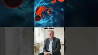 How Insulin Can Be Helpful or Harmful | Dr. Robert Lustig