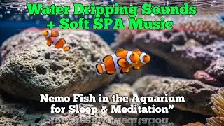 Water dripping sounds + Soft SPA Musik  #CatTV #Relaxing #asmr #SPA 