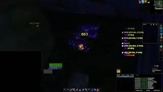 Turtle Wow Gaming - DM:E 2x4 Pulls as Mage