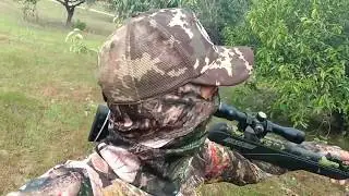 Ca&ccedil;a as marrecas no lago  com  JADE PRO 5.5