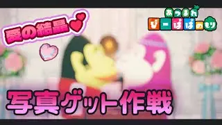 【あつ森・④⑨⑨】愛の結晶配りで写真GET‼作戦