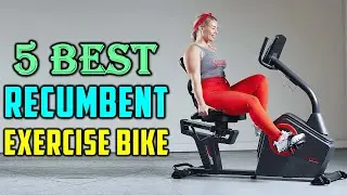 Best Recumbent Exercise Bike - Top 5 Review [2025 Buying Guide]