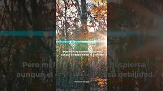 Cuando el silencio parece ganar, la fe despierta. 🕊️✨