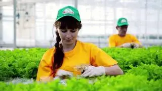 Agroholding Moscow video