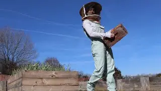 Who Wouldn’t Want Free Bees!?!?