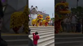 Dragon Dance. Experience the mesmerizing beauty and power of the Chinese Dragon Dance in Toronto