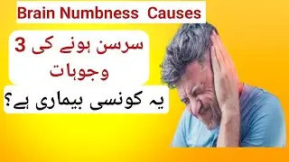 Dimag Sunn kyu hota hai? Brain Weakness Symptoms Treatment In Urdu/Hindi