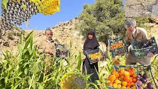 🍆🍅lran nomadic Life | Harvesting Organic Products from Nomadic farm and Building Barn Walls
