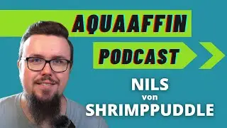 Selbstst&auml;ndigkeit als Creator und Z&uuml;chter, Garnelen-Tipps und mehr mit ShrimpPuddle- AquaAffin #45