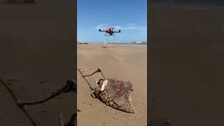 Catching SHARKS WITH a DRONE at the Beach❗️❗️🏝️🦈