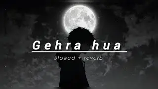 Gehra Hua - Lofi Flip | Slowed + Reverb | Feel the Depth 🌊 | NAYAL EDITS