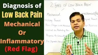 Mechanical & Inflammatory Back Pain, Causes of Lower Back Pain, Diagnosis of Low Back Pain-Symptoms