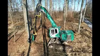 🌲4K|*THE BIGGEST!* Impex Hannibal T60 • Stehendentnahme • Big trees • Dicke Bäume • HarvesterAction🌲