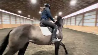 Monark, English and over jumps 10/14/25