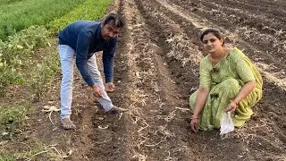 ઓગેનીક સાકભાજી નુ વાવેતર ચાલુ
