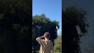 #abboneer