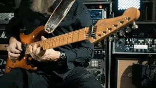 Elephants in Paradise - FOREVER FREE [Official Playthrough-Video]
