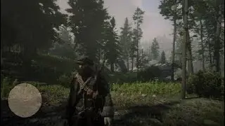 Red Dead Redemption 2 witness murder and coach robbery.