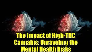 The Impact of High-THC Cannabis: Unrathe Mental Health Risksveling