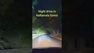 Night drive in nallamala forest #travel #lifestyle #nandyal #nandyala
