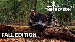 FALL TURKEY HUNTING - GOBBLING FRENZY IN NOVEMBER