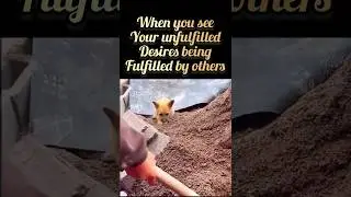 #spirituality #spiritualjourney #spiritualmemes #awakenedsoul #desires #funny #comedy #memes #shorts