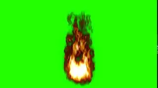 Feu fond vert