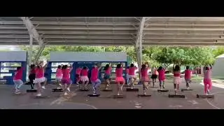 Aqua- Barbie Girl/ step
