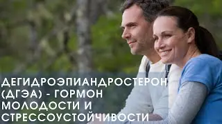 дгэа гормон молодости для мужчин и женщин, для либидо, гзт. (для тех кому за 35+). Доктор Фишер