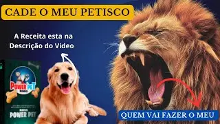 🐶🐱Comida natural para pets &eacute; aposta de empres&aacute;rias   Pequenas Empresas Grandes Neg&oacute;cios 1