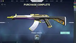 Purchasing Valorant PRIME VANDAL and upgrading to MAX Effects!