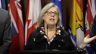 Green Party discusses expectations ahead of budget day &ndash; April 15, 2024