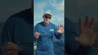Flying Fish Tips #1 Slow trolling #flyingfish #fishingtips