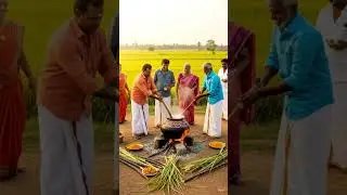 #pongal #reels #shorts #shortsfeed #tamil #culture #farming #festival #reelsindia #story #tamilnadu