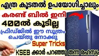 കരണ്ട് ബിൽ 400 രൂപയിൽ കൂടില്ല 20 രൂപ നോട്ട് മാത്രം മതി അറിയാതെ പോയ രഹസ്യം | How to save electricity