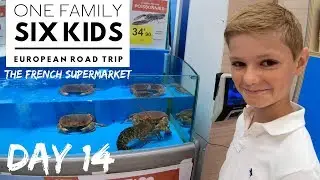 DAY 14 - A FRENCH SUPERMARKET  ///  EUROPEAN ROAD TRIP WITH 6 KIDS