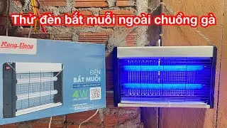 Practical test of Rang Dong mosquito trap lamp