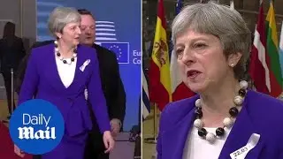 Theresa May describes 'pattern of Russian aggression' from Brussels - Daily Mail