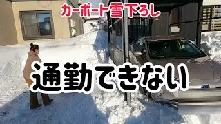 【除雪】カーポートの雪下ろし。ショベルカーも登場