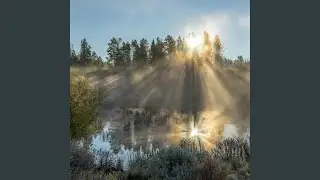 children shine like morning light