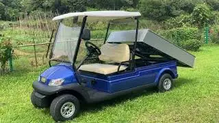 Black Color Lifted Beverage Food Golf Cart 48V 2 Passenger Hotel Buggy Car