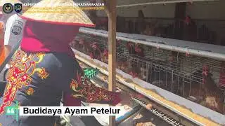 Lapas Kelas IIB Sampit mengikuti panen raya serentak Kementerian Imigrasi dan Pemasyarakatan